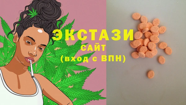 гидра Богородицк