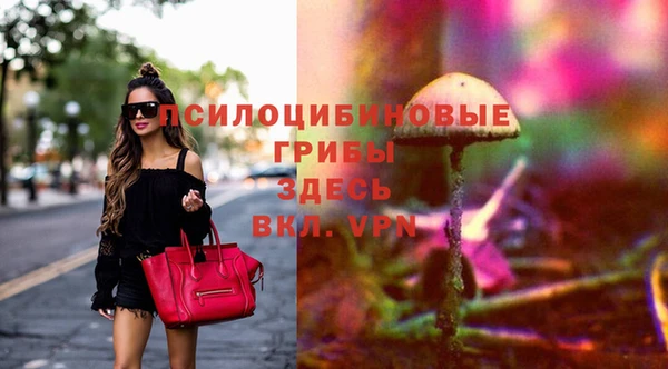 spice Нязепетровск