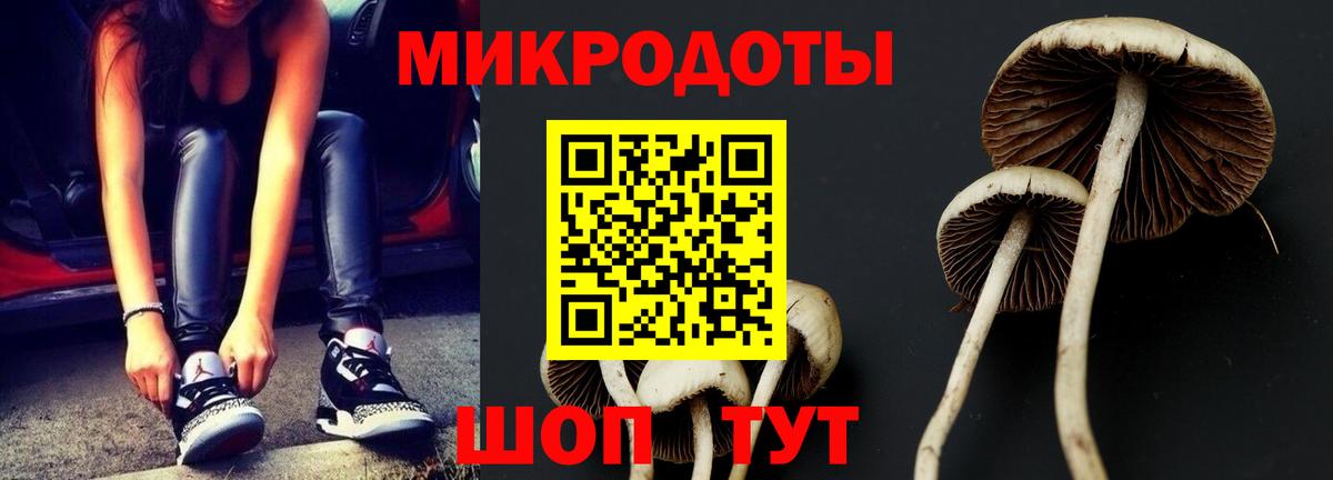Псилоцибиновые грибы прущие грибы  Псилоцибиновые грибы прущие грибы  Клин  Вход с VPN 